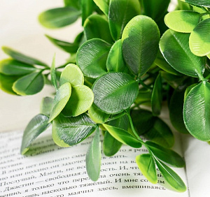 Букет «Мелколист ребристый» 24 см