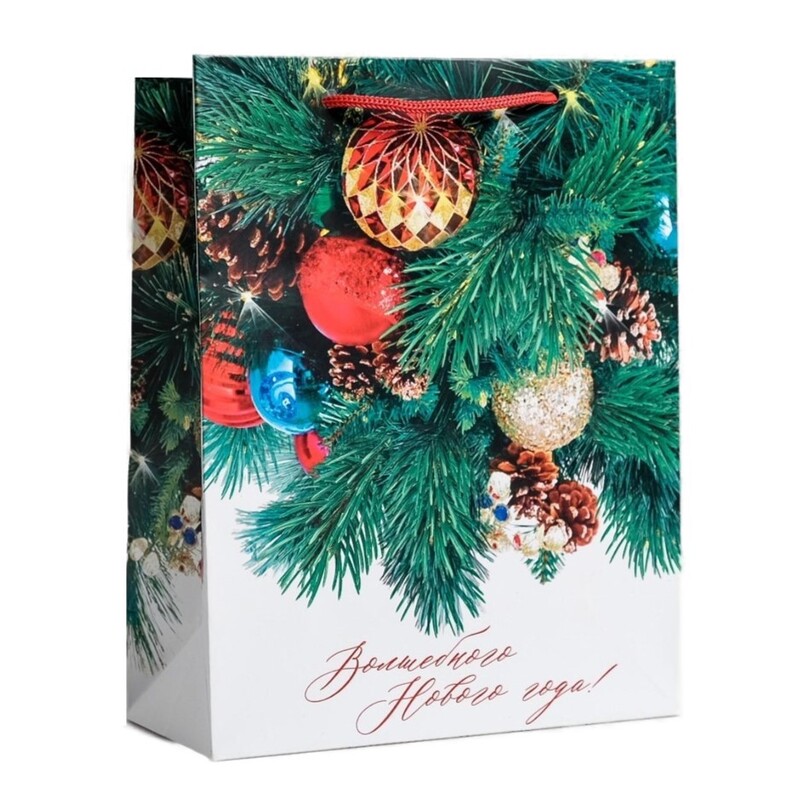 Пакет ламинированный «Волшебного Нового Года», MS