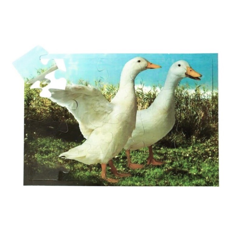 Макси-пазл «Гуси» 100х70 см, МКИ