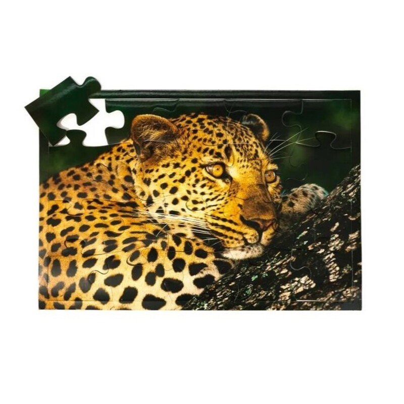 Макси-пазл «Леопард» 100х70 см, МКИ