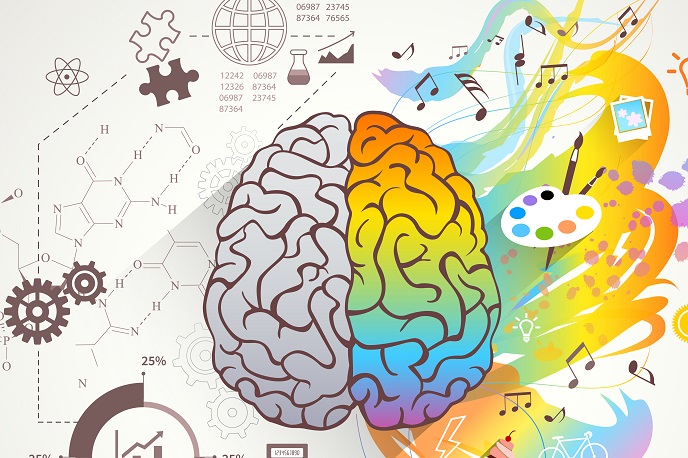5 упражнений для развития интеллекта ребёнка 5 упражнений для развития интеллекта ребёнка