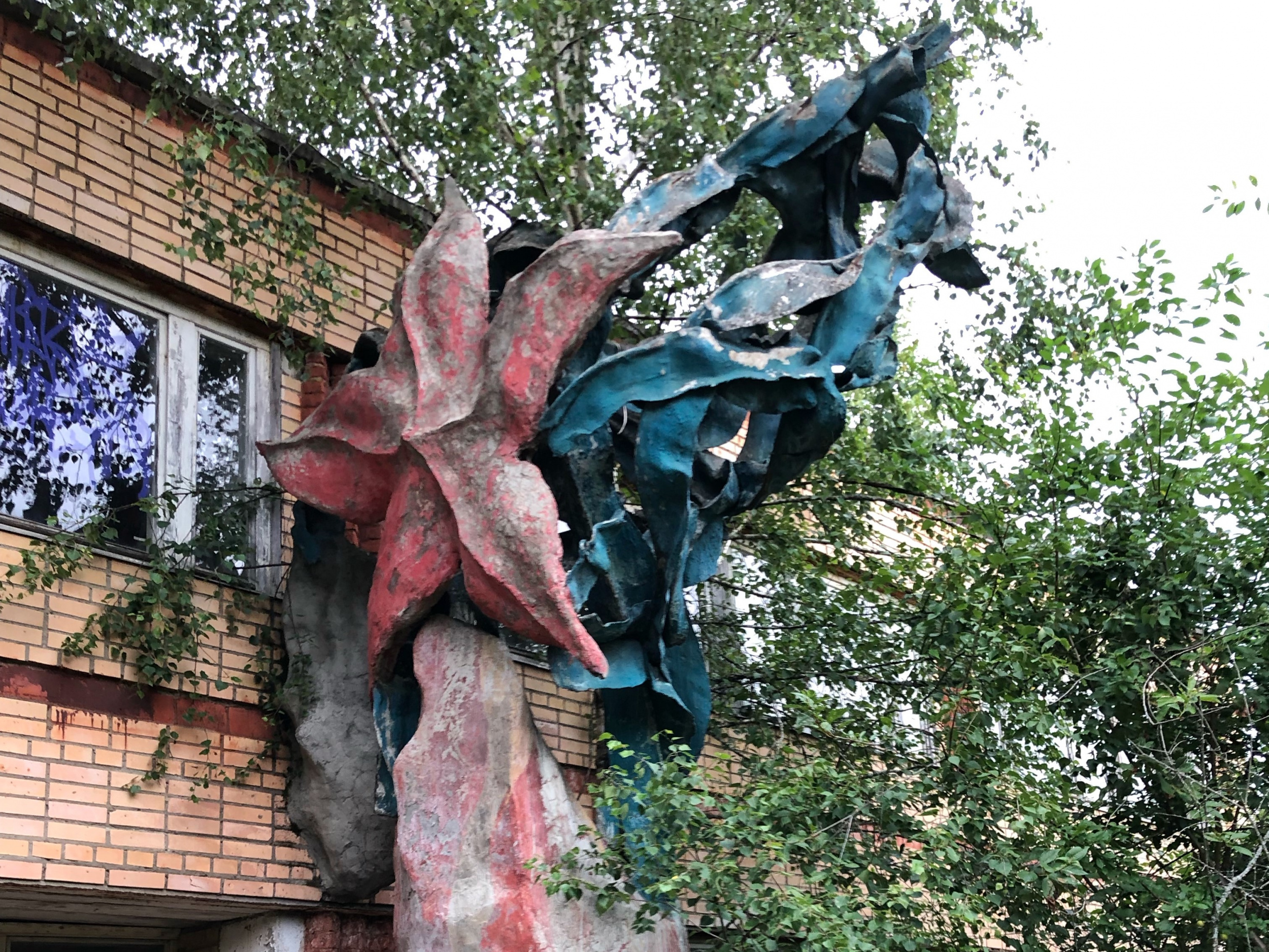 Морская звезда Морская звезда
