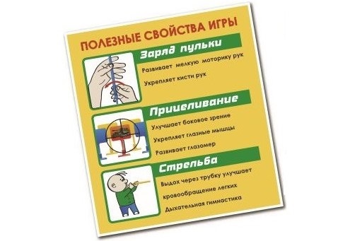 Сканбол - полезные свойства Сканбол - полезные свойства