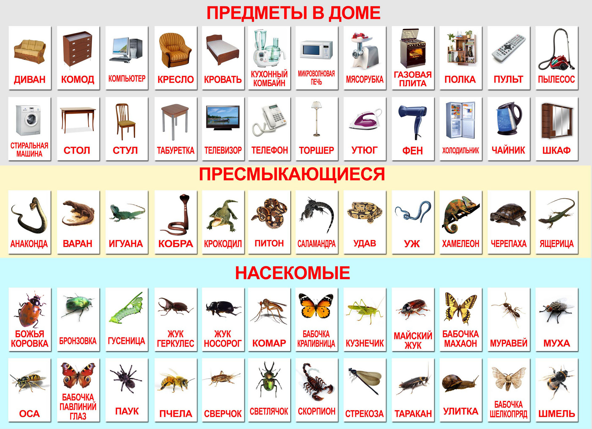 Суть методики Домана Суть методики Домана