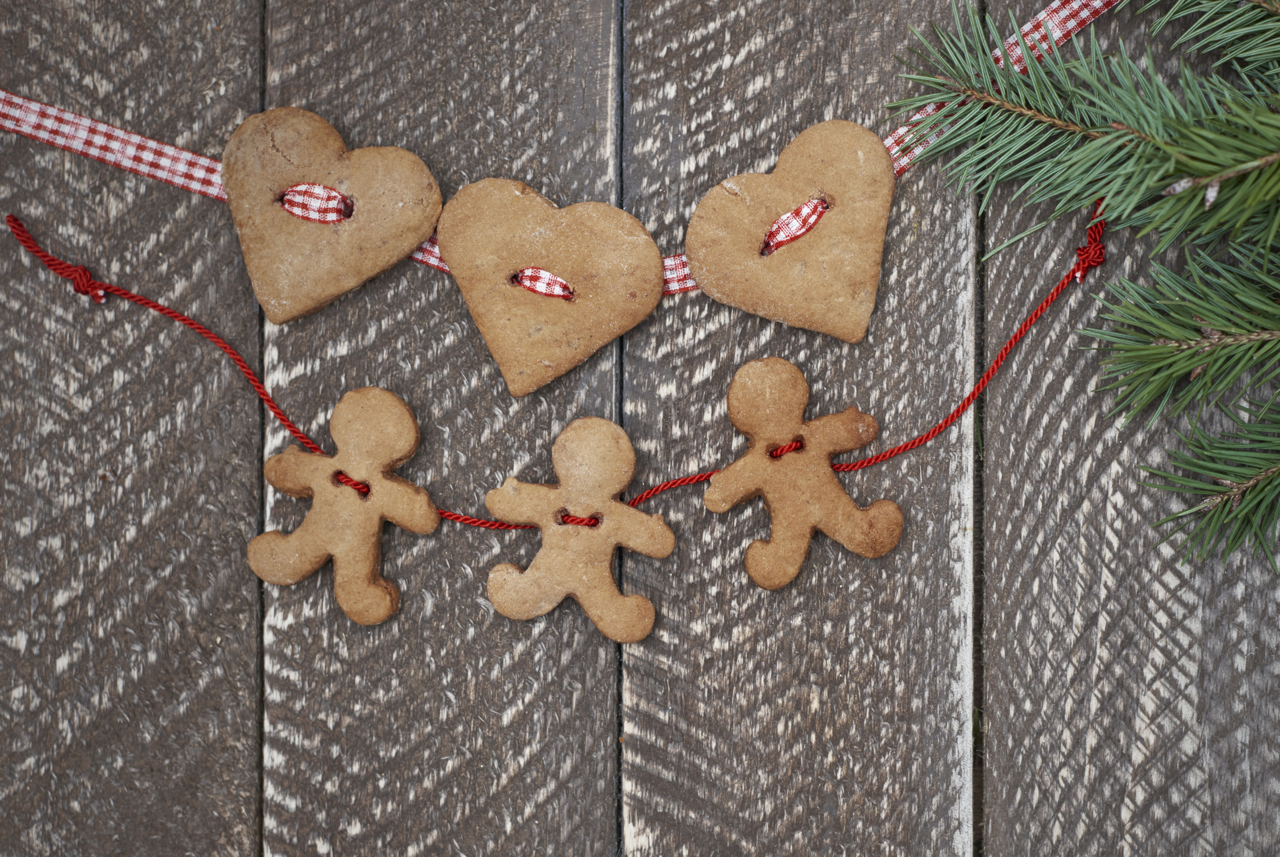 6 two-chains-gingerbread-cookies.jpg