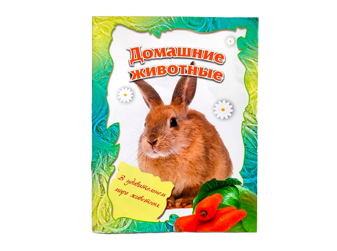 Книга «Домашние животные» Книга «Домашние животные»