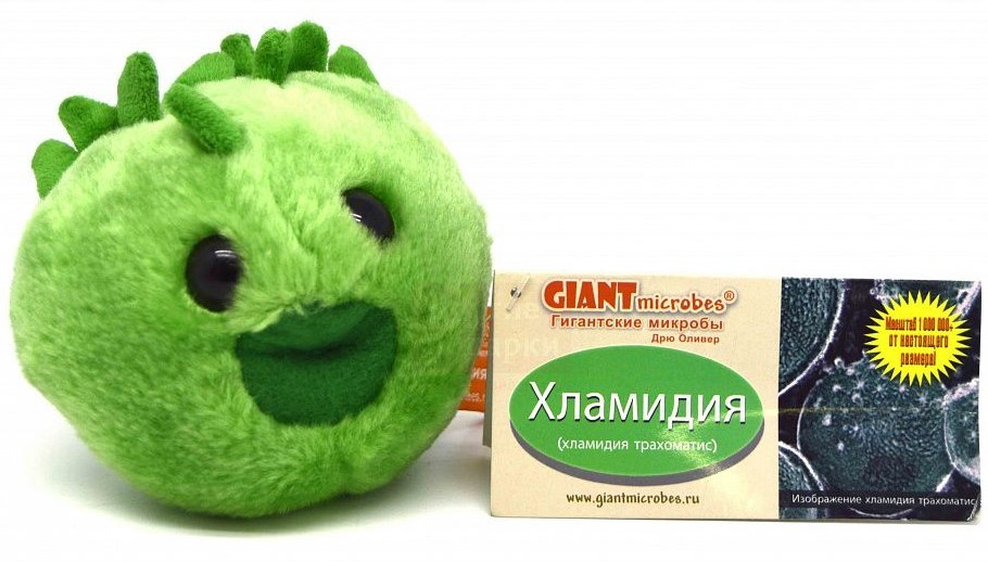 Игрушка хламидия Игрушка хламидия