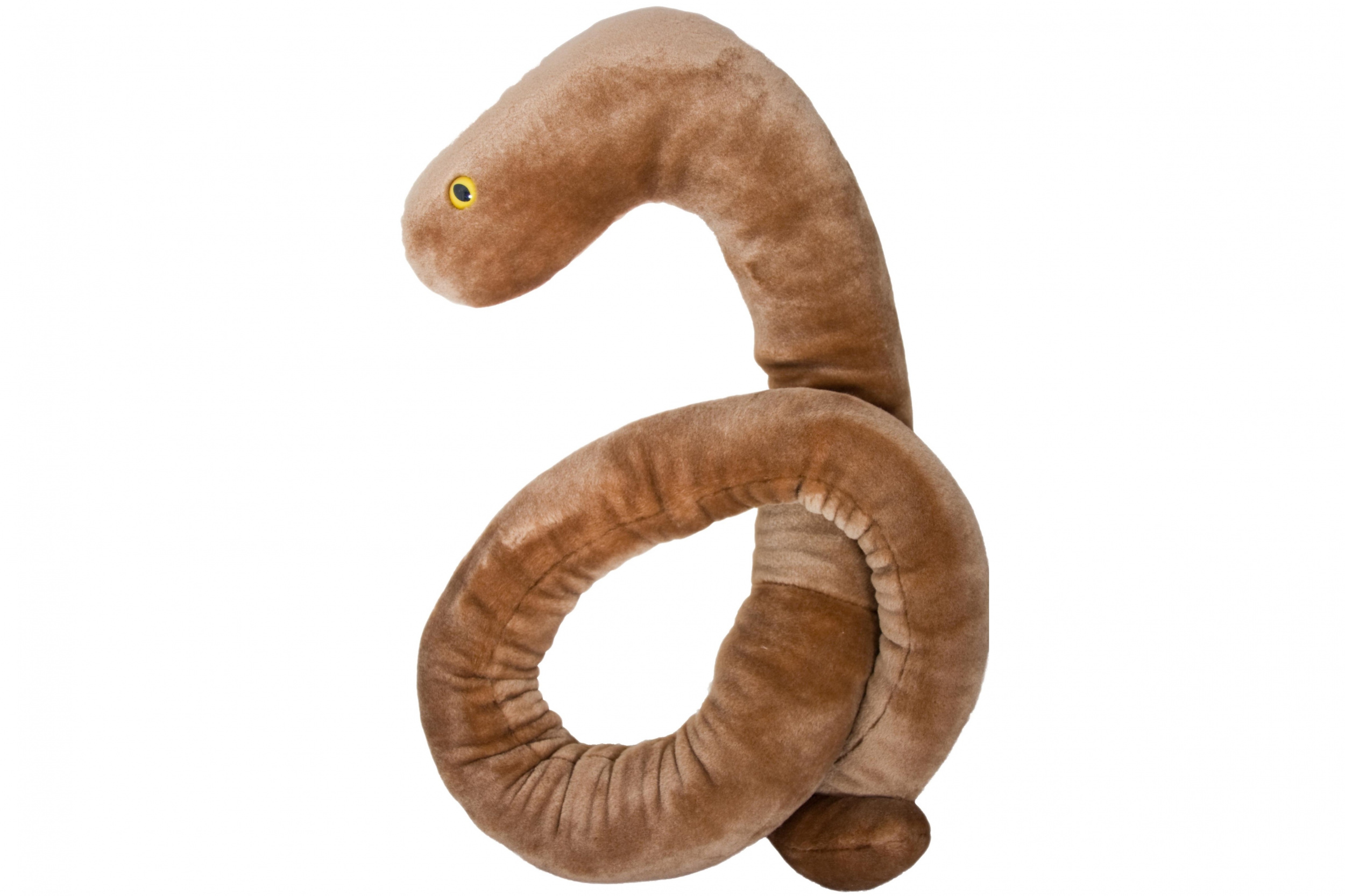 ebola.jpg ebola.jpg