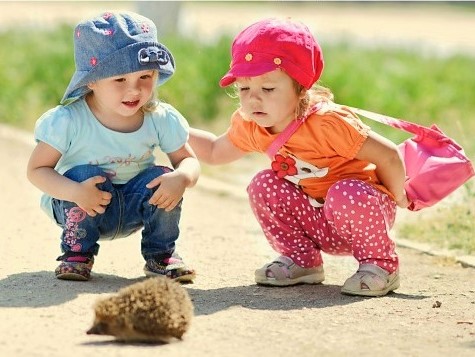 комп6.jpg комп6.jpg