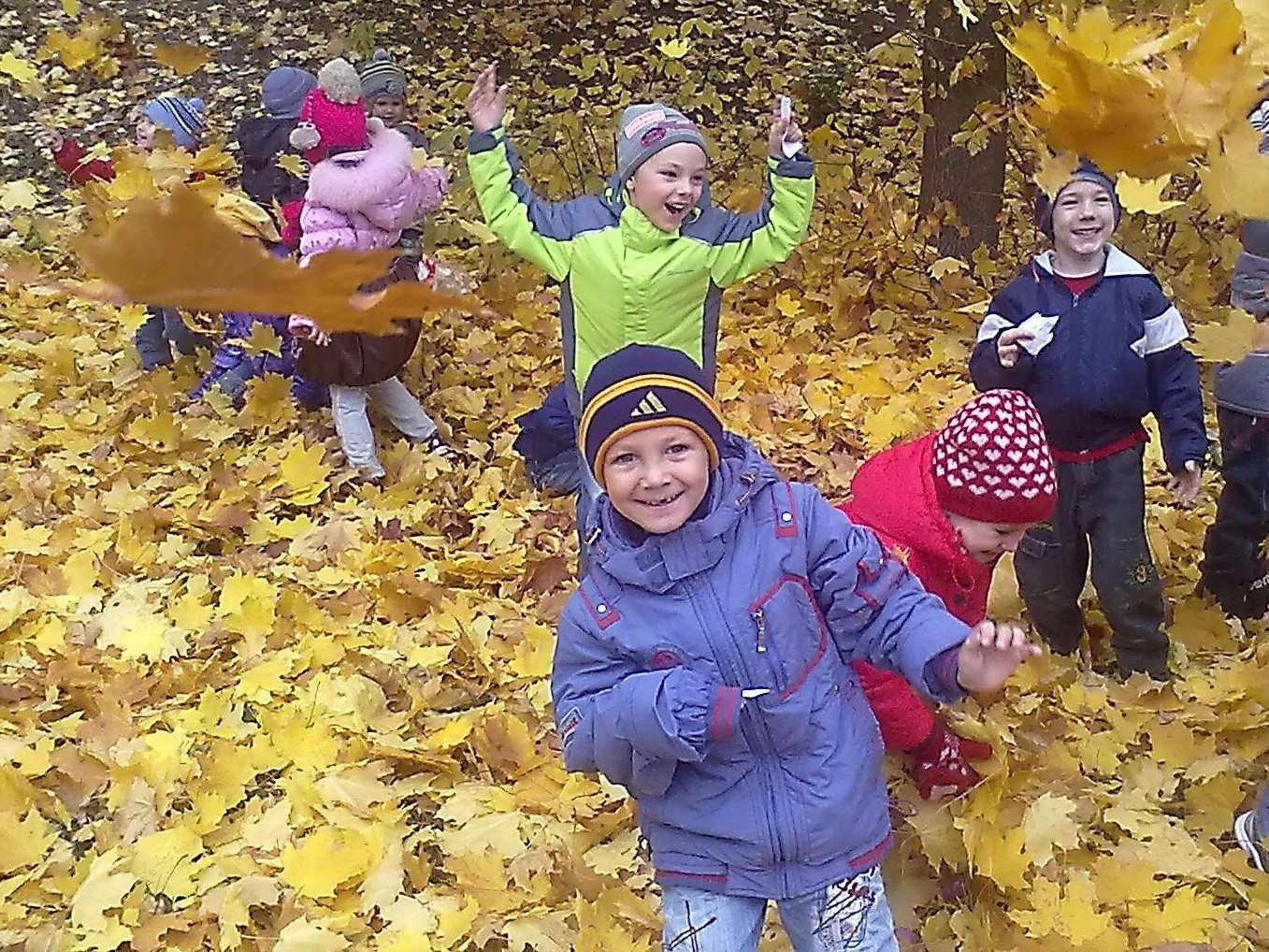 Мы — друзья природы Мы — друзья природы