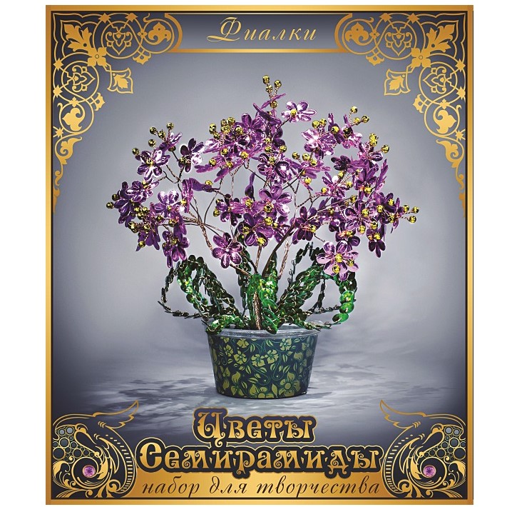 Фиалки Фиалки