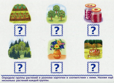 Развивающая игра «Готов ли ребенок к школе? Мир вокруг нас»