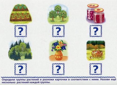 Развивающая игра «Готов ли ребенок к школе? Мир вокруг нас»