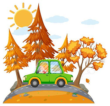 Живая и неживая природа