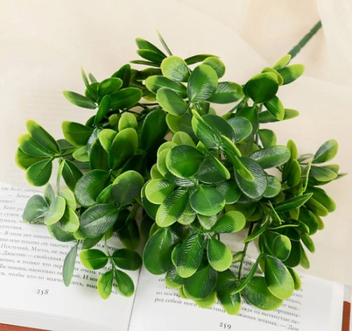 Букет «Мелколист ребристый» 24 см