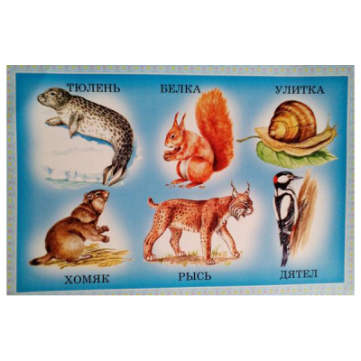 Развивающее лото «Угадай животных»