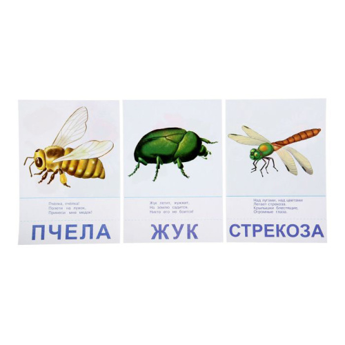 Настольная игра самым маленьким «Птицы и насекомые»