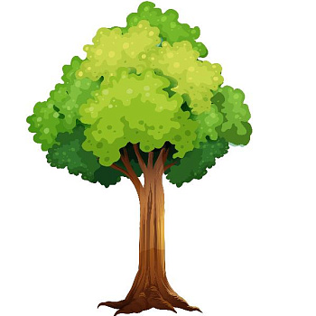 Листья, цветы, плоды деревьев