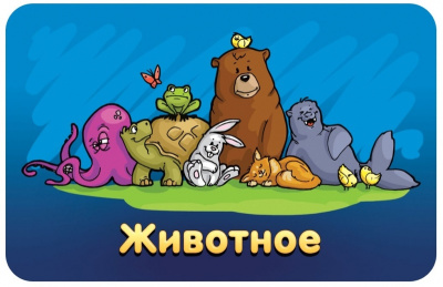 Настольная игра «Соображарий Junior»