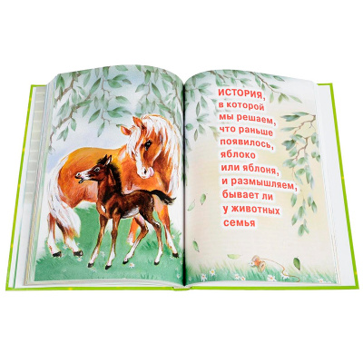 Книга-мечта «‎О том самом зайке без капризов и обид, и о школе Монтессори»‎ 1+, Карапуз