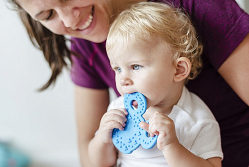 Прорезыватель для зубов: виды и правильный выбор Прорезыватель для зубов: виды и правильный выбор