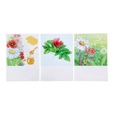 Настольная игра самым маленьким «Птицы и насекомые», Радуга