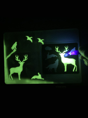 Трафареты для рисования светом №3 «Дикие животные»