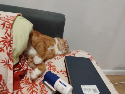 тестовый товар и свойства