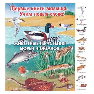 Первые книги малыша. Учим новые слова! «Животные и растения морей и океанов», Улыбка