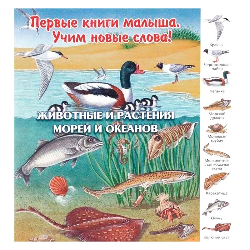 Первые книги малыша. Учим новые слова! «Животные и растения морей и океанов», Улыбка