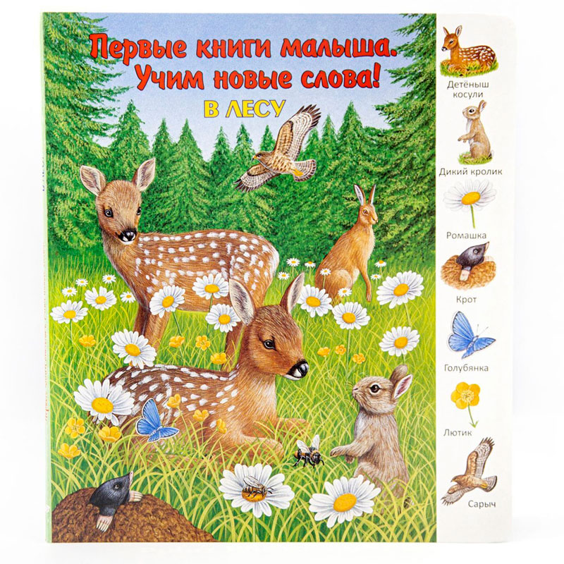 Первые книги малыша. Учим новые слова! «В лесу», Улыбка