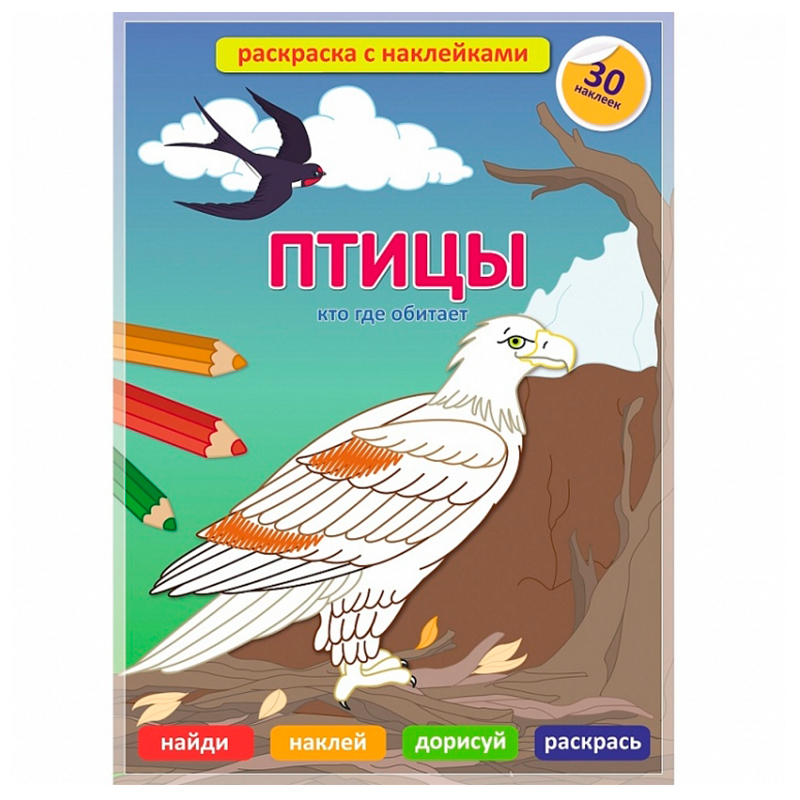 Раскраска с наклейками «Птицы», ГеоДом