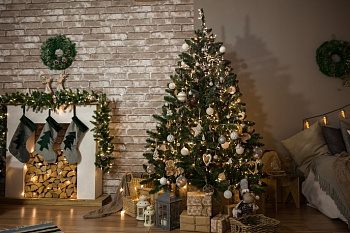 Выбираем место для новогодней елки Выбираем место для новогодней елки