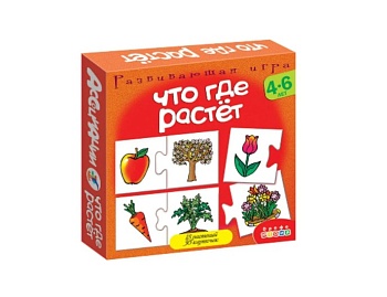 Настольная игра «Что где растет?», издательство «Дрофа-Медиа»