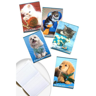 Тетрадь А5 Blasetti